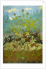 Thistles and Foxglove by Paul Ranson