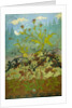 Thistles and Foxglove by Paul Ranson