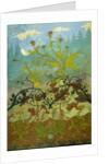 Thistles and Foxglove by Paul Ranson