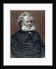 Ibsen, Henrik (1828-1906) by Anonymous