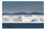 Monaco Glacier, Spitzbergen by Anonymous