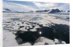 Monaco Glacier, Spitzbergen by Anonymous