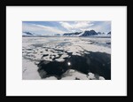 Monaco Glacier, Spitzbergen by Anonymous