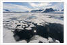 Monaco Glacier, Spitzbergen by Anonymous