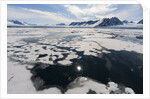 Monaco Glacier, Spitzbergen by Anonymous
