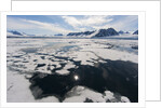 Monaco Glacier, Spitzbergen by Anonymous