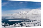 Monaco Glacier, Spitzbergen by Anonymous
