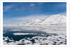 Monaco Glacier, Spitzbergen by Anonymous