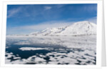 Monaco Glacier, Spitzbergen by Anonymous