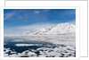 Monaco Glacier, Spitzbergen by Anonymous