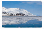 Monaco Glacier, Spitzbergen by Anonymous