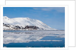 Monaco Glacier, Spitzbergen by Anonymous