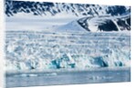 Lilliehook Glacier, Spitzbergen by Anonymous