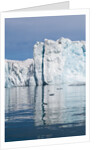 Lilliehook Glacier, Spitzbergen by Anonymous