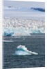 Glacier near Ny-Alesund, Spitzbergen by Anonymous