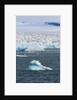 Glacier near Ny-Alesund, Spitzbergen by Anonymous