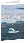 Glacier near Ny-Alesund, Spitzbergen by Anonymous
