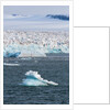 Glacier near Ny-Alesund, Spitzbergen by Anonymous