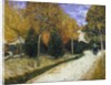 The Public Garden by Vincent Van Gogh