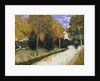 The Public Garden by Vincent Van Gogh