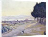Pinewood, St. Tropez by Paul Signac