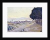 Pinewood, St. Tropez by Paul Signac