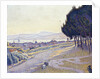 Pinewood, St. Tropez by Paul Signac