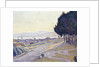 Pinewood, St. Tropez by Paul Signac