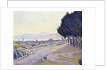 Pinewood, St. Tropez by Paul Signac