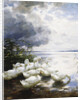 Ducks at the Lake's Edge by Alexander Koester