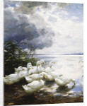 Ducks at the Lake's Edge by Alexander Koester