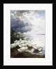 Ducks at the Lake's Edge by Alexander Koester