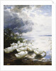 Ducks at the Lake's Edge by Alexander Koester