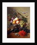 Peaches, Grapes, Plums and Flowers in a Glass vase with a Jay on a Ledge by Arnoldus Bloemers