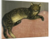 Summer, Cat on a Railing by Theophile Alexandre Steinlen