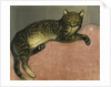 Summer, Cat on a Railing by Theophile Alexandre Steinlen