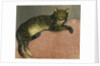 Summer, Cat on a Railing by Theophile Alexandre Steinlen