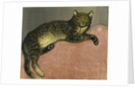 Summer, Cat on a Railing by Theophile Alexandre Steinlen