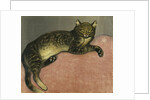 Summer, Cat on a Railing by Theophile Alexandre Steinlen