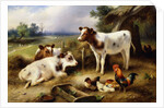 Farmyard Friends by Walter Hunt