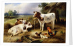 Farmyard Friends by Walter Hunt