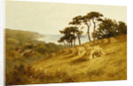 Harvest Time, Fairlight, Sussex by Henry H Parker