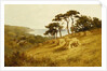Harvest Time, Fairlight, Sussex by Henry H Parker