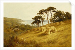 Harvest Time, Fairlight, Sussex by Henry H Parker