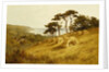 Harvest Time, Fairlight, Sussex by Henry H Parker