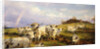Wild Cattle of Chartley, Chartley Castle Beyond by Henry William Banks Davis