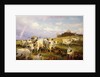 Wild Cattle of Chartley, Chartley Castle Beyond by Henry William Banks Davis