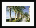 Monte Carlo by Christian Zacho