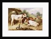 Calves and Poultry by a Byre by Walter Hunt