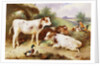 Calves and Poultry by a Byre by Walter Hunt